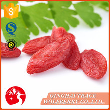 L&#39;échantillonneur gratuit en gros sundried wolfberry, manfacturer fournit des baies de goji séchées